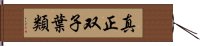 真正双子葉類 Hand Scroll