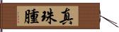 真珠腫 Hand Scroll