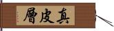 真皮層 Hand Scroll