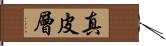 真皮層 Hand Scroll