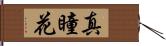 真瞳花 Hand Scroll