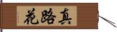 真路花 Hand Scroll