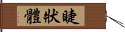 睫狀體 Hand Scroll