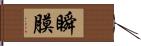 瞬膜 Hand Scroll