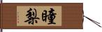 瞳梨 Hand Scroll