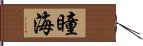 瞳海 Hand Scroll