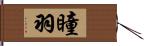 瞳羽 Hand Scroll