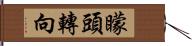 矇頭轉向 Hand Scroll