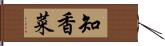 知香菜 Hand Scroll