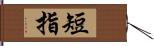 短指 Hand Scroll