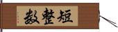 短整数 Hand Scroll