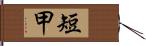 短甲 Hand Scroll