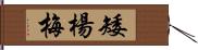 矮楊梅 Hand Scroll