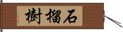 石榴樹 Hand Scroll