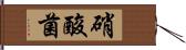 硝酸菌 Hand Scroll