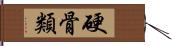 硬骨類 Hand Scroll