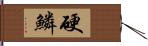 硬鱗 Hand Scroll