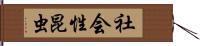 社会性昆虫 Hand Scroll