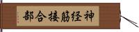 神経筋接合部 Hand Scroll