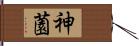 神薗 Hand Scroll