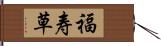 福寿草 Hand Scroll