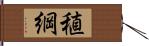 稙綱 Hand Scroll