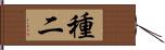 種二 Hand Scroll