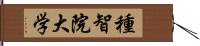 種智院大学 Hand Scroll