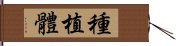 種植體 Hand Scroll