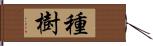 種樹 Hand Scroll