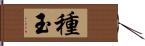 種玉 Hand Scroll