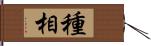 種相 Hand Scroll
