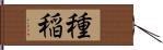 種稲 Hand Scroll