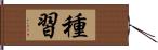 種習 Hand Scroll