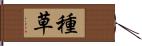 種草 Hand Scroll