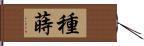 種蒔 Hand Scroll