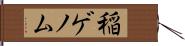 稲ゲノム Hand Scroll