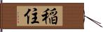 稲住 Hand Scroll