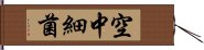 空中細菌 Hand Scroll