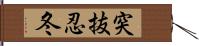 突抜忍冬 Hand Scroll