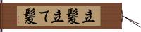 立髪 Hand Scroll