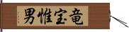 竜宝惟男 Hand Scroll