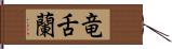 竜舌蘭 Hand Scroll