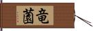 竜薗 Hand Scroll