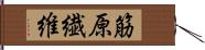 筋原繊維 Hand Scroll