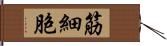 筋細胞 Hand Scroll