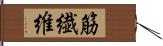 筋繊維 Hand Scroll