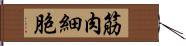 筋肉細胞 Hand Scroll