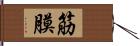 筋膜 Hand Scroll