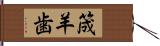 筬羊歯 Hand Scroll